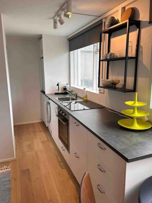 Studio Apartment Reykjavik City Center Εξωτερικό φωτογραφία