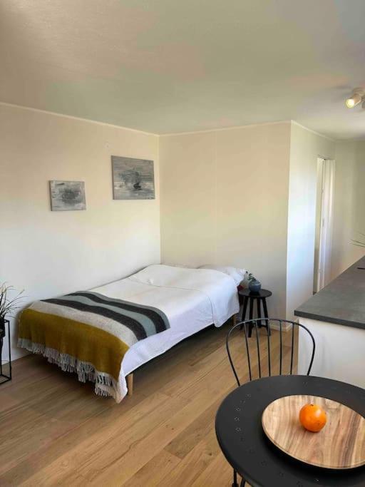 Studio Apartment Reykjavik City Center Εξωτερικό φωτογραφία