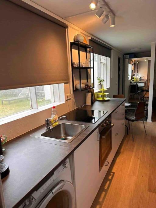Studio Apartment Reykjavik City Center Εξωτερικό φωτογραφία