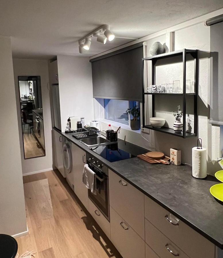 Studio Apartment Reykjavik City Center Εξωτερικό φωτογραφία